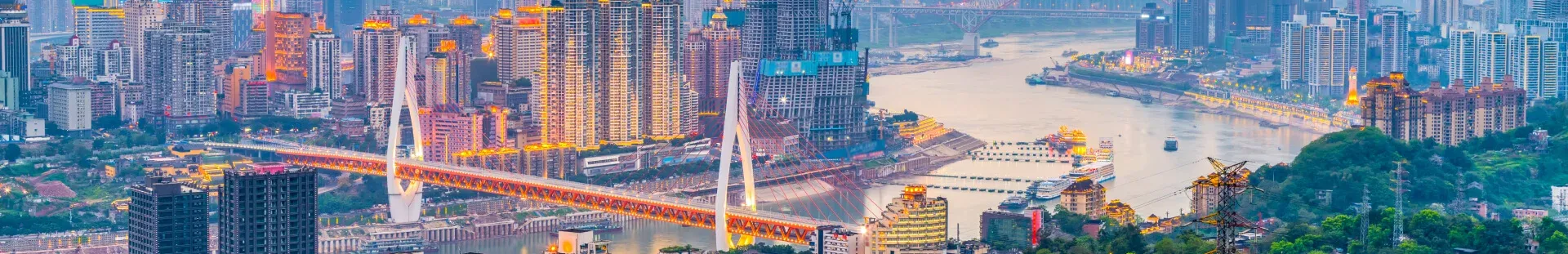 hong kong bridge view in visible one